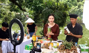 Yếu tố giúp tăng doanh số bán hàng qua livestream