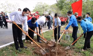Thành đoàn Hải Phòng tổ chức nhiều hoạt động ý nghĩa