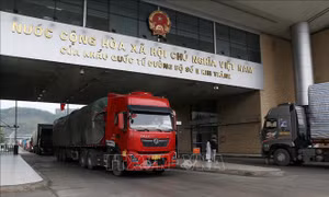 Kim ngạch xuất nhập khẩu qua cửa khẩu Lào Cai đạt gần 186 triệu USD