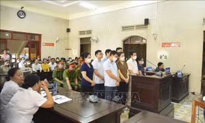 Tuyên án các bị cáo trong vụ án liên quan đến dự án Cảng hàng không Điện Biên