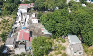 Nhập nhèm cấp 'sổ hồng' ở Hoằng Hóa - Bài 1: Sai phạm trong xác định nguồn gốc đất, thẩm định hồ sơ