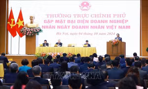 Thủ tướng chủ trì gặp mặt doanh nghiệp nhân Ngày Doanh nhân Việt Nam