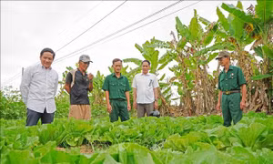 Viết tiếp 'khúc quân hành' kiến tạo những làng quê đáng sống