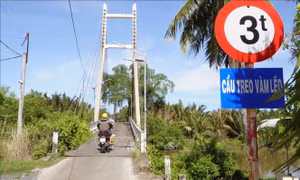 Sớm khắc phục cầu treo Vàm Lẽo nơi giáp ranh Cà Mau và Cần Thơ