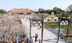Nhiều địa phương tạm dừng các dịch vụ không cần thiết để phòng, chống dịch 