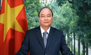 Hợp tác Việt Nam - OECD đang phát triển ngày càng tích cực và thực chất