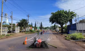 Bắt giữ nhóm đối tượng truy sát hai thanh niên