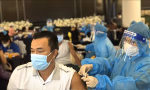 Nỗ lực vì mục tiêu vaccine cho toàn dân - Bài cuối: Vaccine, thuốc điều trị và ý thức người dân 