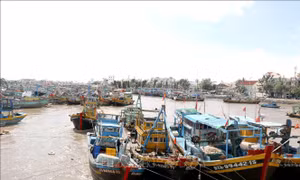Khắc phục 'thẻ vàng' IUU: Lâm Đồng dốc sức thực hiện dứt điểm đăng ký, đăng kiểm tàu cá