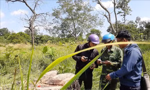 UBND huyện Chư Prông kiểm điểm trách nhiệm vì để mất hơn 15.000 ha rừng