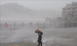 Trung Quốc: Bắc Kinh khẩn trương ứng phó mưa lớn do bão Dolphin 