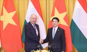 Chủ tịch nước Lương Cường hội đàm với Tổng thống Hungary