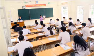 Phổ điểm thi tốt nghiệp THPT 2025: Hơn 38% thí sinh có điểm dưới trung bình môn Tiếng Anh