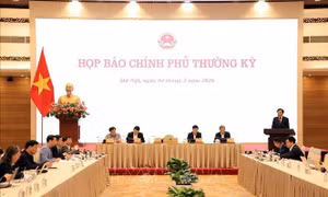 Hiện không có chủ trương tiếp tục sáp nhập cấp tỉnh và cấp xã