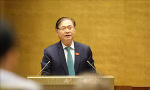Kỳ họp thứ 9, Quốc hội khóa XIV: Biểu quyết Luật Phòng, chống thiên tai và Luật Đê điều sửa đổi