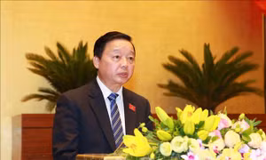 Bộ trưởng Tài nguyên và Môi trường: Vụ đổ dầu thải gây ô nhiễm nước là vi phạm hết sức nghiêm trọng