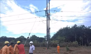 Kịp thời khắc phục sự cố mất điện trên diện rộng ở Đồng Nai