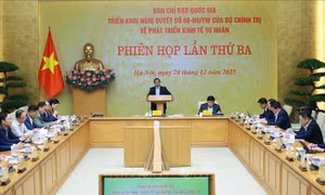 Thủ tướng: Phát triển kinh tế tư nhân với tất cả niềm tin, hành động, thực chất, hiệu quả, đột phá