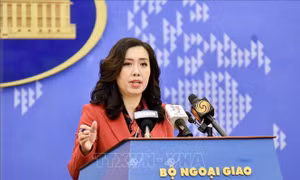 Việt Nam luôn ủng hộ, đảm bảo thực thi quyền tự do báo chí