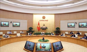 Thủ tướng: Triển khai các biện pháp, kiên quyết giảm giá thịt lợn xuống dưới 60.000 đồng/kg