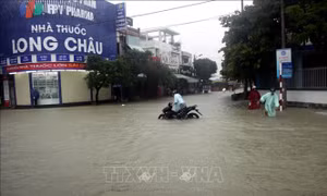 Trung Bộ tiếp tục mưa to, lũ trên sông Vệ tại Quảng Ngãi đạt đỉnh