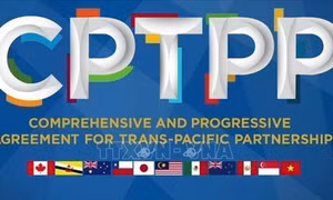Nước Anh và cơ hội từ CPTPP