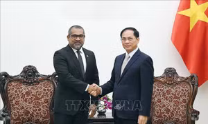 Phó Thủ tướng Bùi Thanh Sơn tiếp Bộ trưởng Ngoại giao Maldives