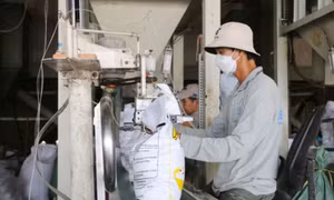 Kinh tế tư nhân trở thành động lực của tăng trưởng xanh ở An Giang