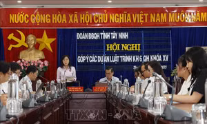 Tây Ninh: Góp ý các dự án luật trình Kỳ họp thứ 6, Quốc hội khóa XV