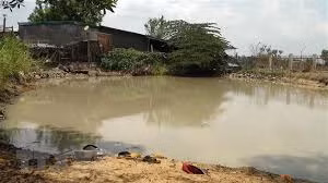 Bốn trẻ em dân tộc Ê Đê chết đuối thương tâm dưới ao