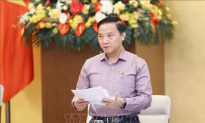 Chủ động đấu tranh với tội phạm về tham nhũng, kinh tế, buôn lậu