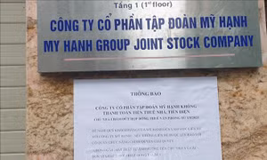 Hà Nội: Khẩn trương điều tra, làm rõ dấu hiệu lừa đảo ở công ty mạo danh trồng sâm Ngọc Linh