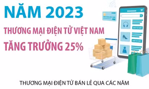 Năm 2023, thương mại điện tử Việt Nam tăng trưởng 25%