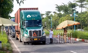  Thông thương hàng hóa để ‘cứu’ doanh nghiệp khi dịch kéo dài