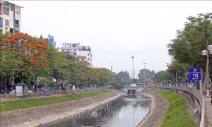 Hà Nội triển khai nhiều hoạt động thiết thực hưởng ứng Tháng hành động vì Môi trường năm 2019