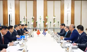 Thủ tướng Lê Minh Hưng: Nâng cao hiệu quả các dự án hợp tác Việt Nam - Cuba