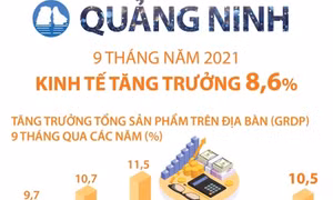 9 tháng năm 2021: Kinh tế Quảng Ninh tăng trưởng 8,6%