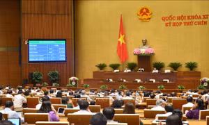 Giảm thuế cho doanh nghiệp có doanh thu năm 2020 không quá 200 tỷ đồng