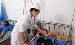 Vụ ngộ độc do ăn bánh mì tại Quảng Ngãi: Thực phẩm bị nhiễm vi sinh vật