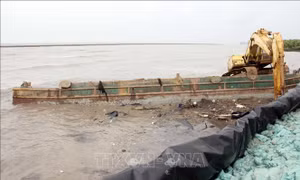 Cử đoàn công tác hỗ trợ xử lý sự cố đê phòng hộ ven biển Tây