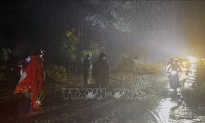 Mưa lũ, sạt lở đất làm 1 người chết và nhiều thiệt hại tại các địa phương