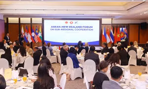 Việt Nam cam kết thúc đẩy hợp tác ASEAN với New Zealand, Anh