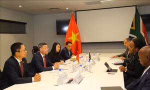 Kiểm toán Nhà nước Việt Nam và Nam Phi chia sẻ kinh nghiệm, hướng tới đẩy mạnh hợp tác 