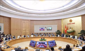 Thủ tướng: Tăng cường chế biến để giải quyết tình trạng 'được mùa rớt giá'