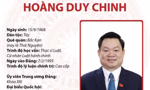 Ủy viên Trung ương Đảng, Ủy viên Ủy ban Thường vụ Quốc hội khóa XV Hoàng Duy Chinh