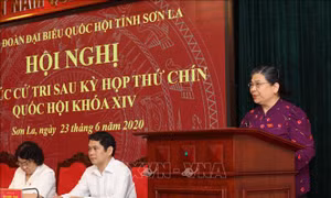 Phó Chủ tịch Quốc hội Tòng Thị Phóng tiếp xúc trực tuyến với cử tri Sơn La