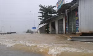 Lũ lên tại Quảng Ngãi, nhiều hộ dân vùng hạ lưu bị ngập