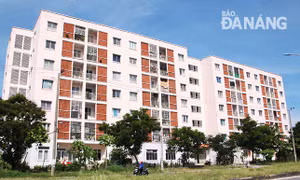 Đà Nẵng xử lý nghiêm các trường hợp vi phạm về quản lý, sử dụng chung cư, nhà ở xã hội