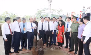Thủ tướng dự khởi công Dự án khu bảo tồn bãi cọc Cao Quỳ