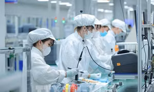 Nghị quyết 10-NQ/TW và bước chuyển chiến lược tư duy - Bài cuối